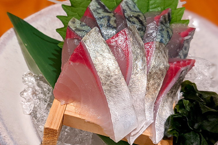 折頸鯖魚