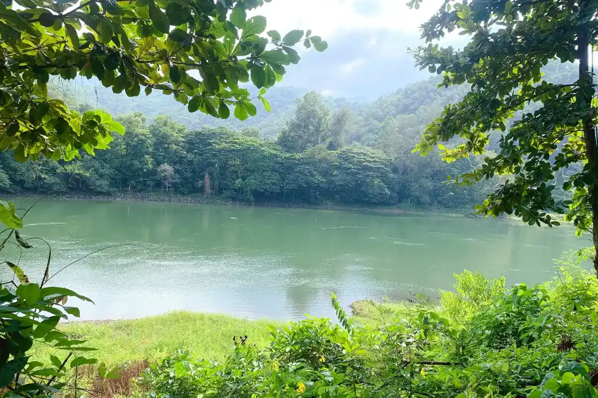 เกาะวัวตาหลับ