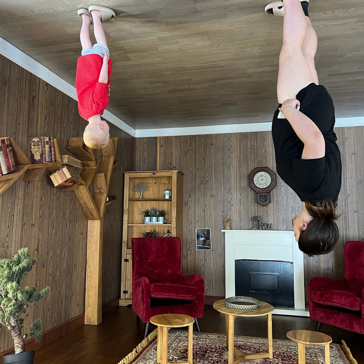 An image of the upside down house