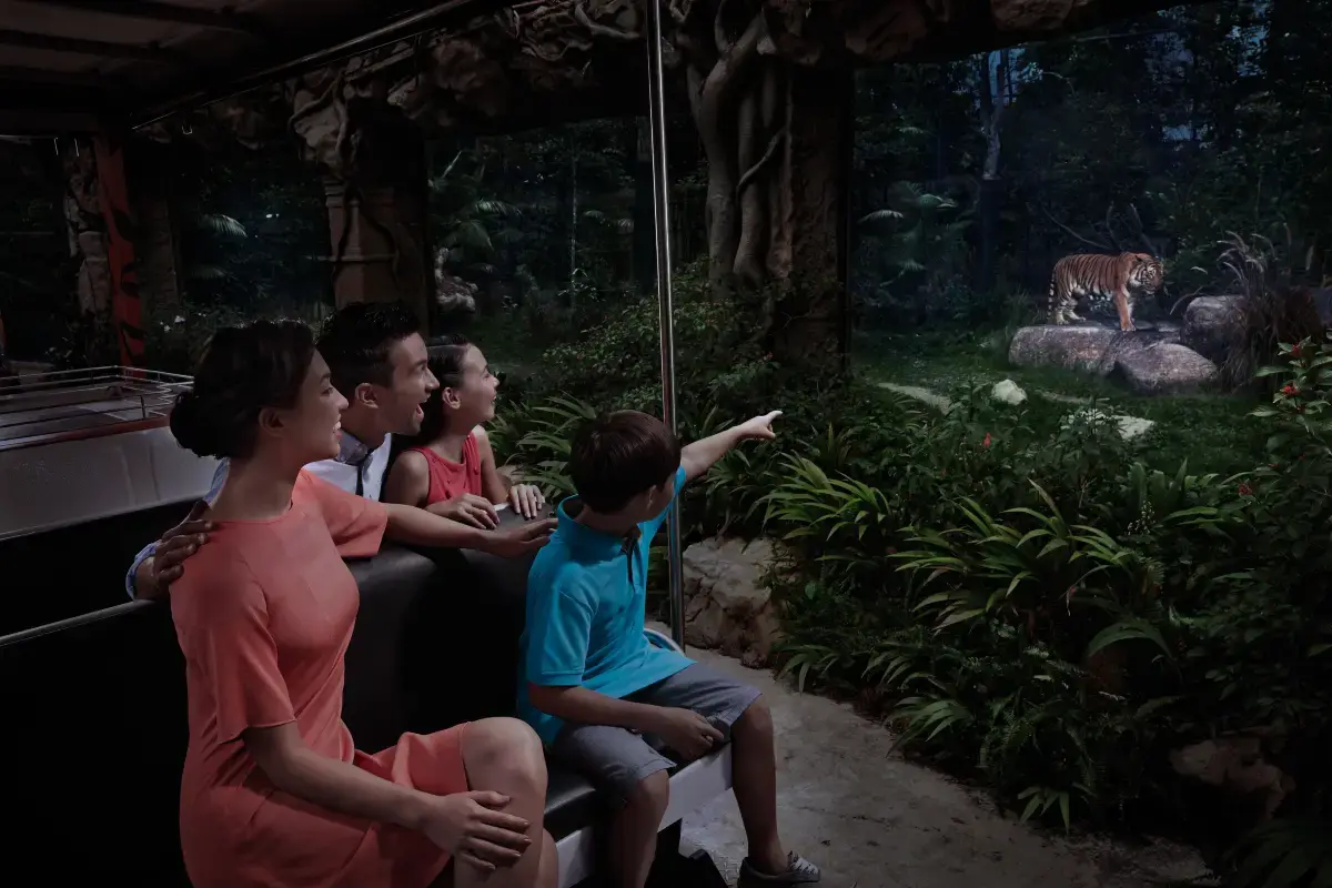 A family enjoying the night safari looking at a tiger