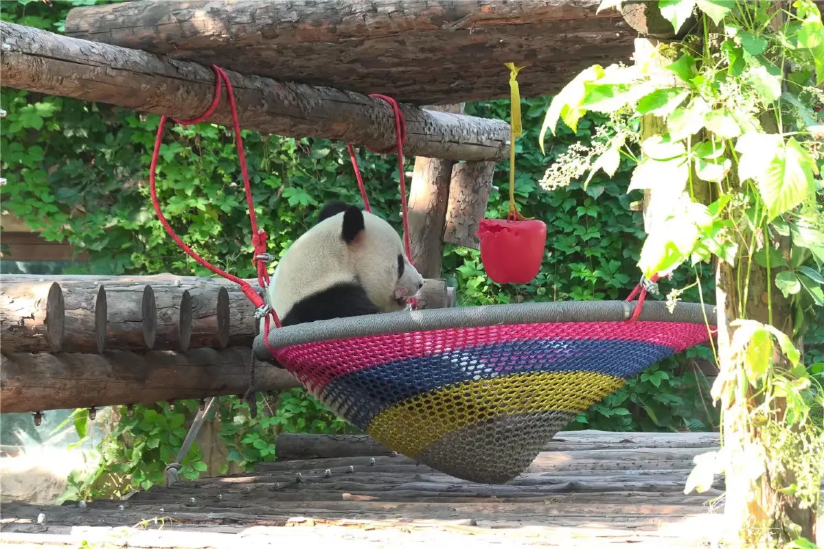 北京動物園大熊貓館