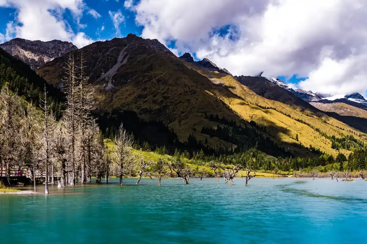 ศรีกูนาโฉ่