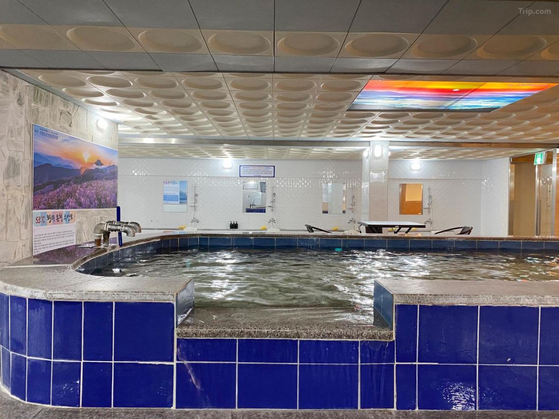 수안보 온천호텔 추천 