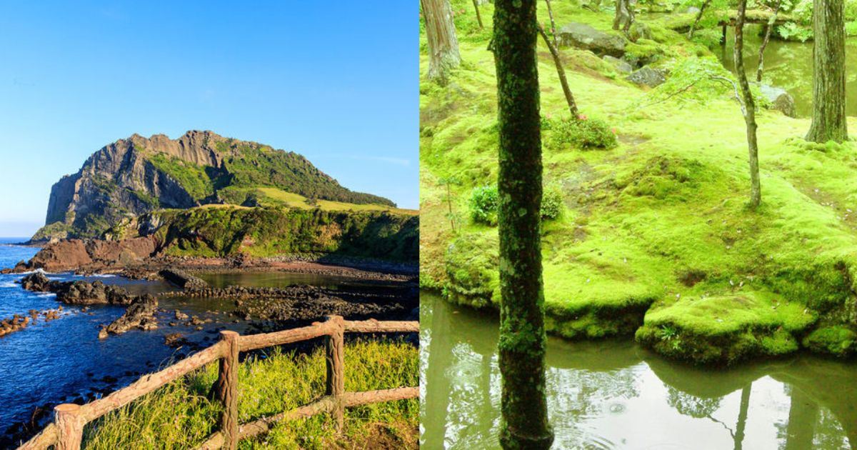 Corée du Sud ou Japon : quelle destination offre les plus beaux sites naturels ?