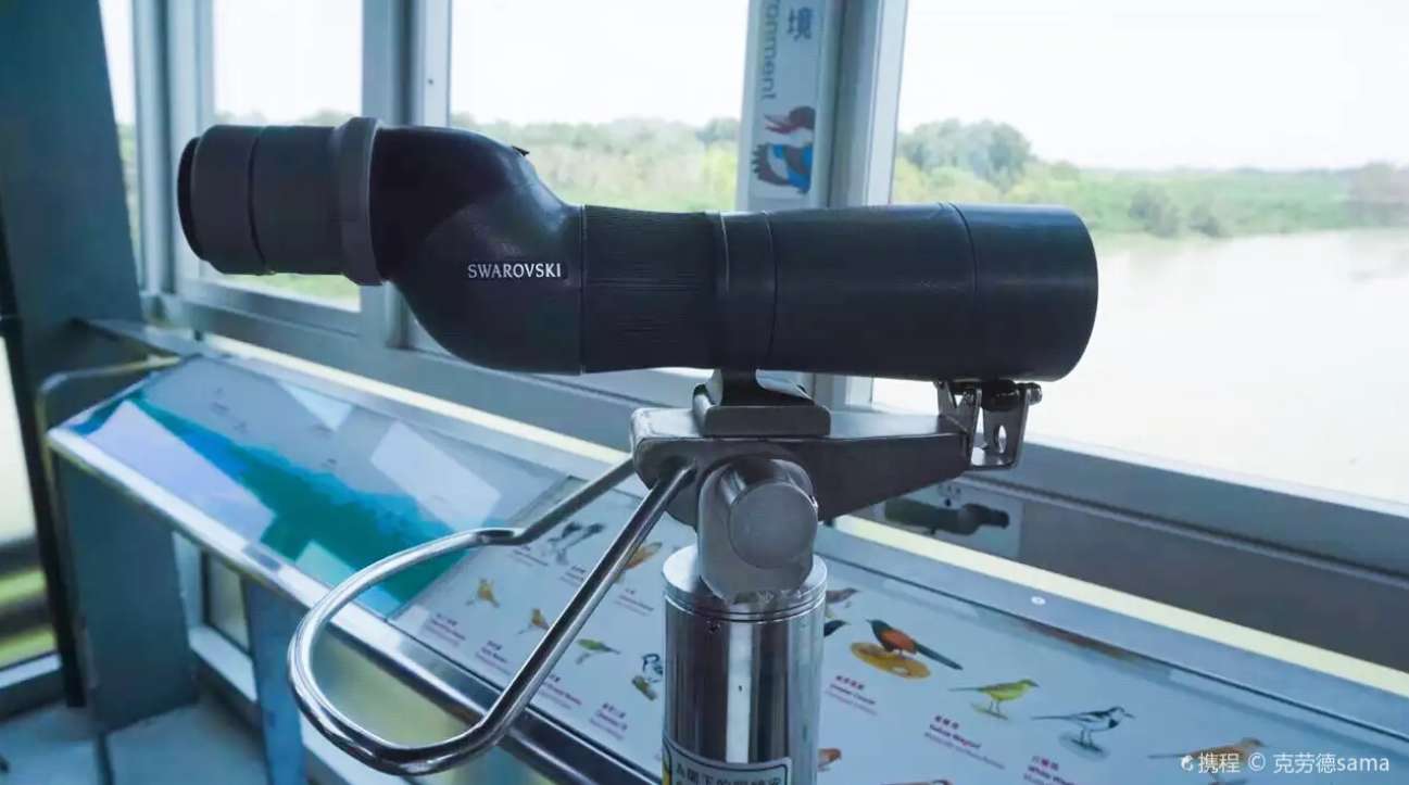 พาลูกเที่ยวฮ่องกง