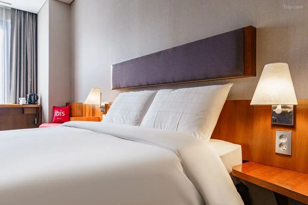 宜必思首爾明洞大使飯店