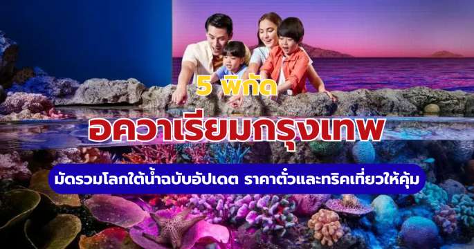 รวม 5 อควาเรียมกรุงเทพ และใกล้เคียง เที่ยวโลกใต้ทะเลสุดฟิน