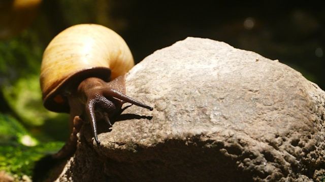 일본 여행
