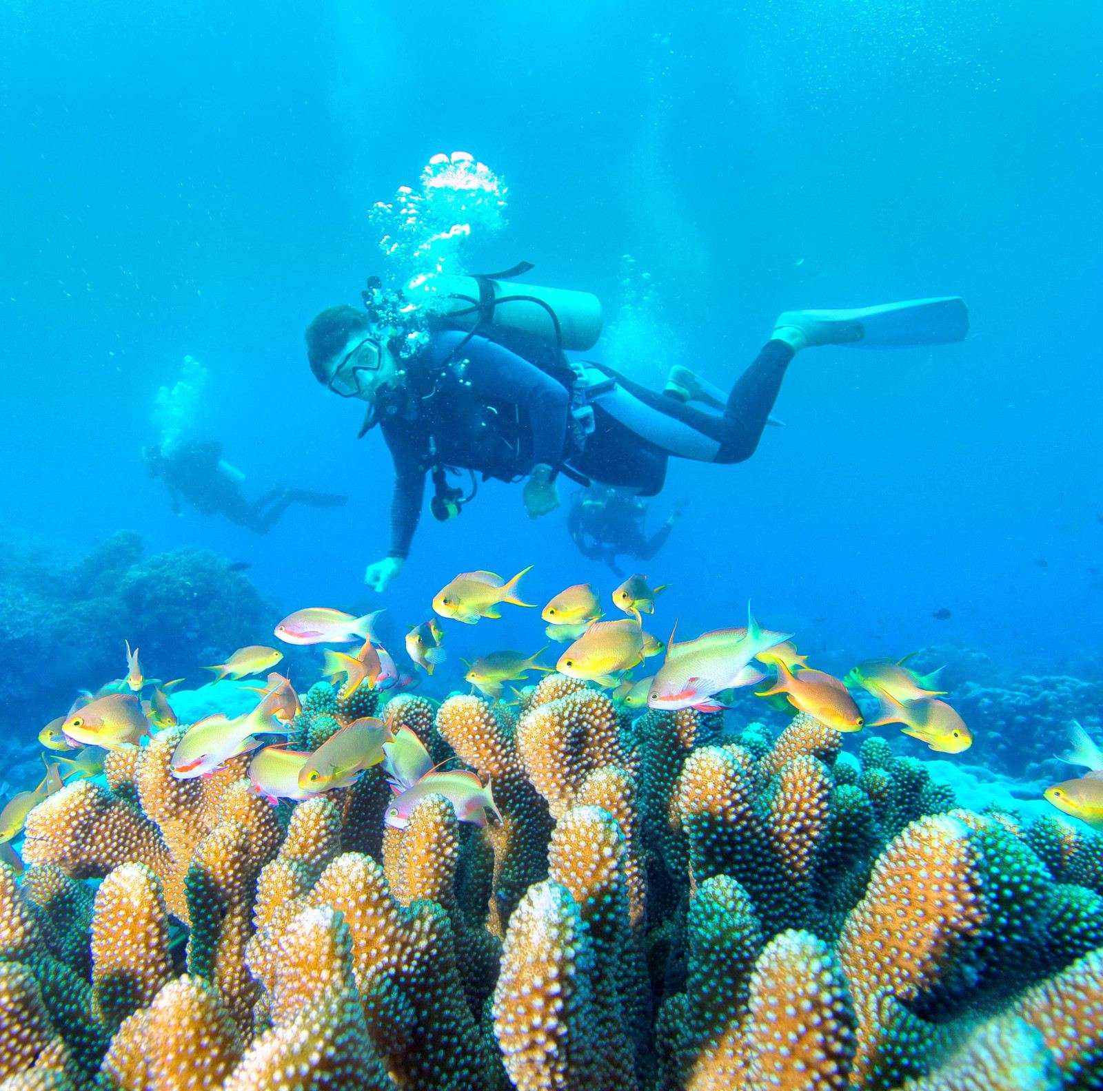 Море и пляжи в Санье