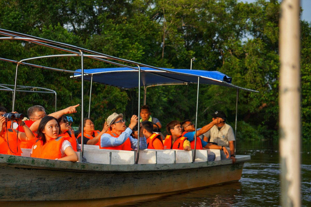 A group of tourist in a boat pointing in wonder at the proboscis monke