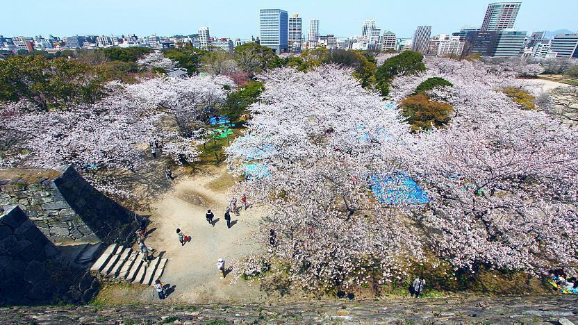 후쿠오카 시내 명소, 마이즈루 공원