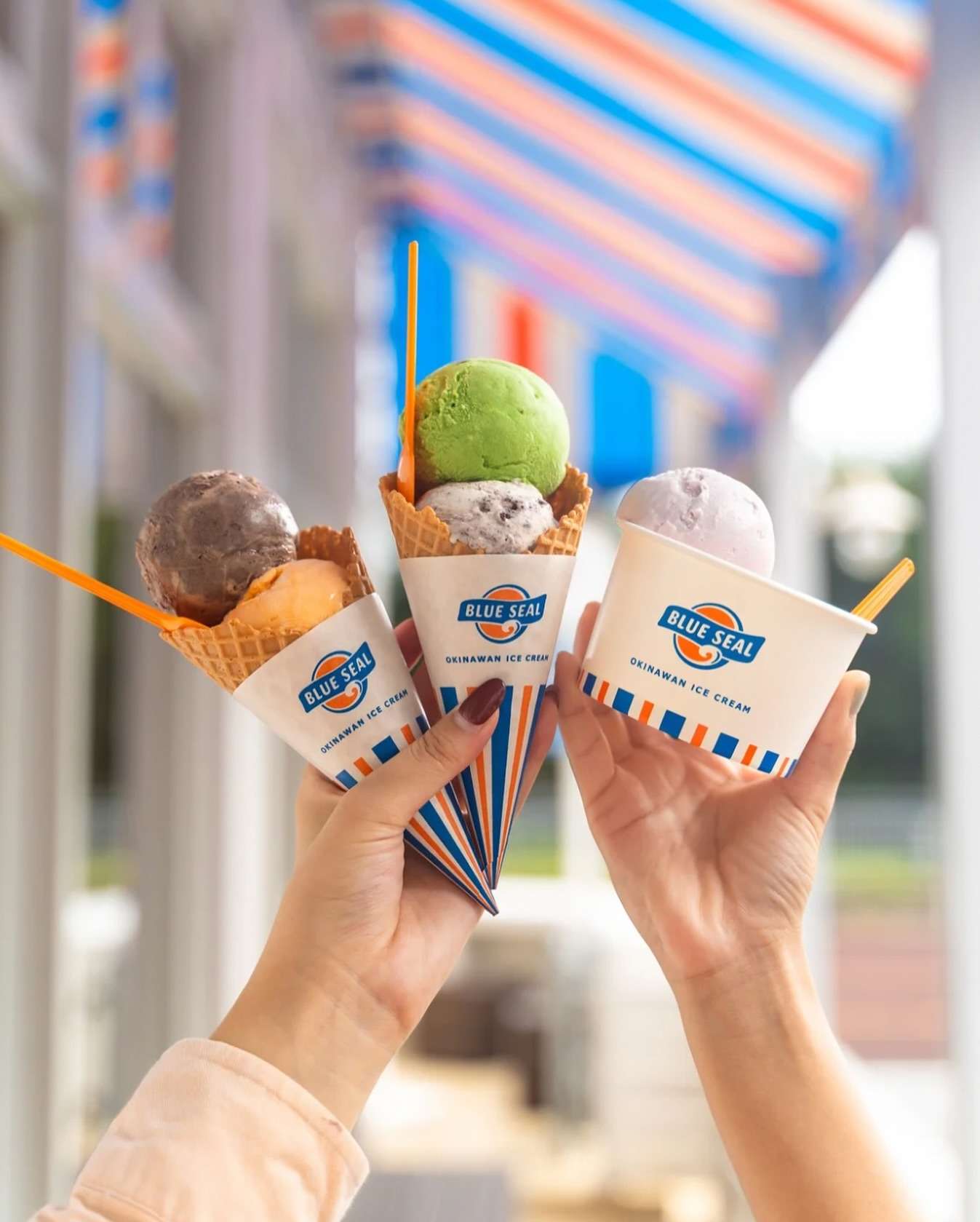 오키나와 아이스크림
