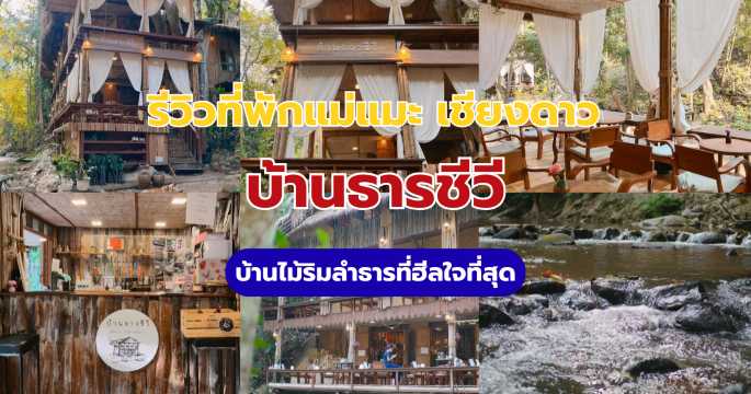 บ้านธารชีวี แม่แมะ เชียงดาว 2569: รีวิวที่พัก คาเฟ่ ราคา และวิธีจอง | Trip.com