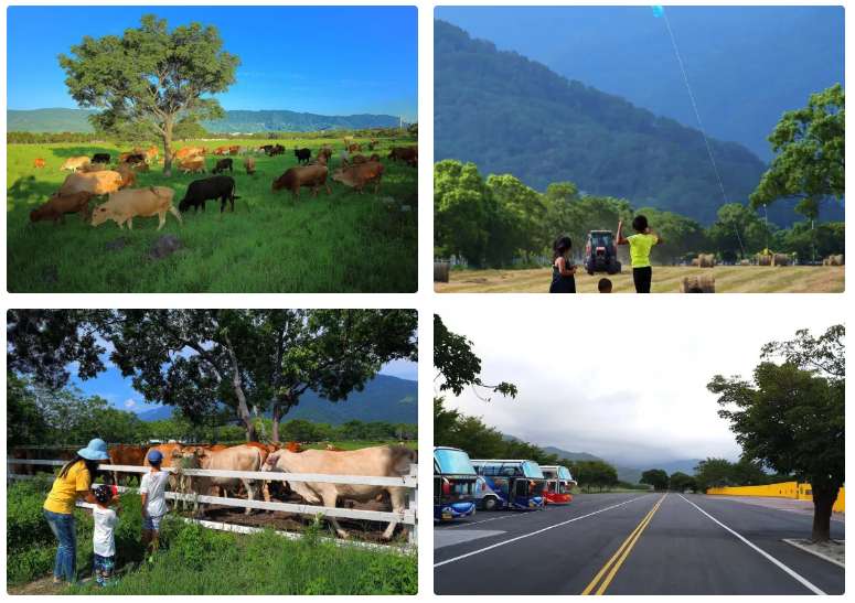 池上住宿|台灣糖業股份有限公司池上牧野渡假村(池上親子住宿推薦)