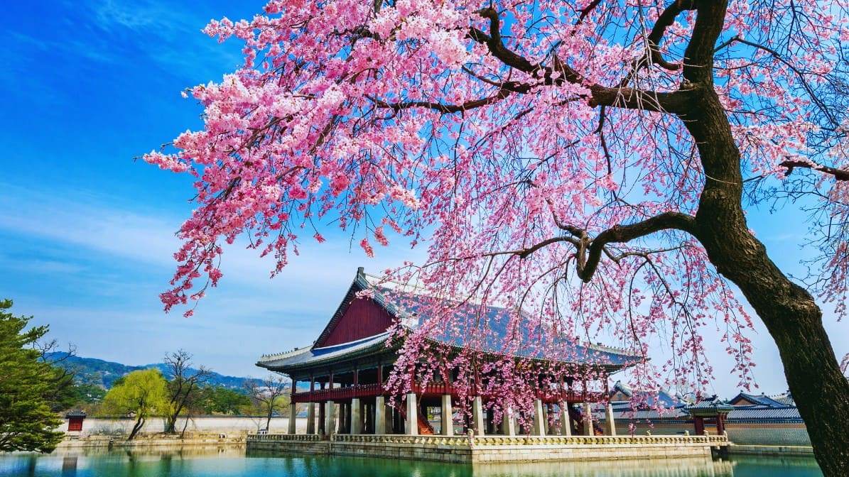 서울 개화 시기, 경복궁