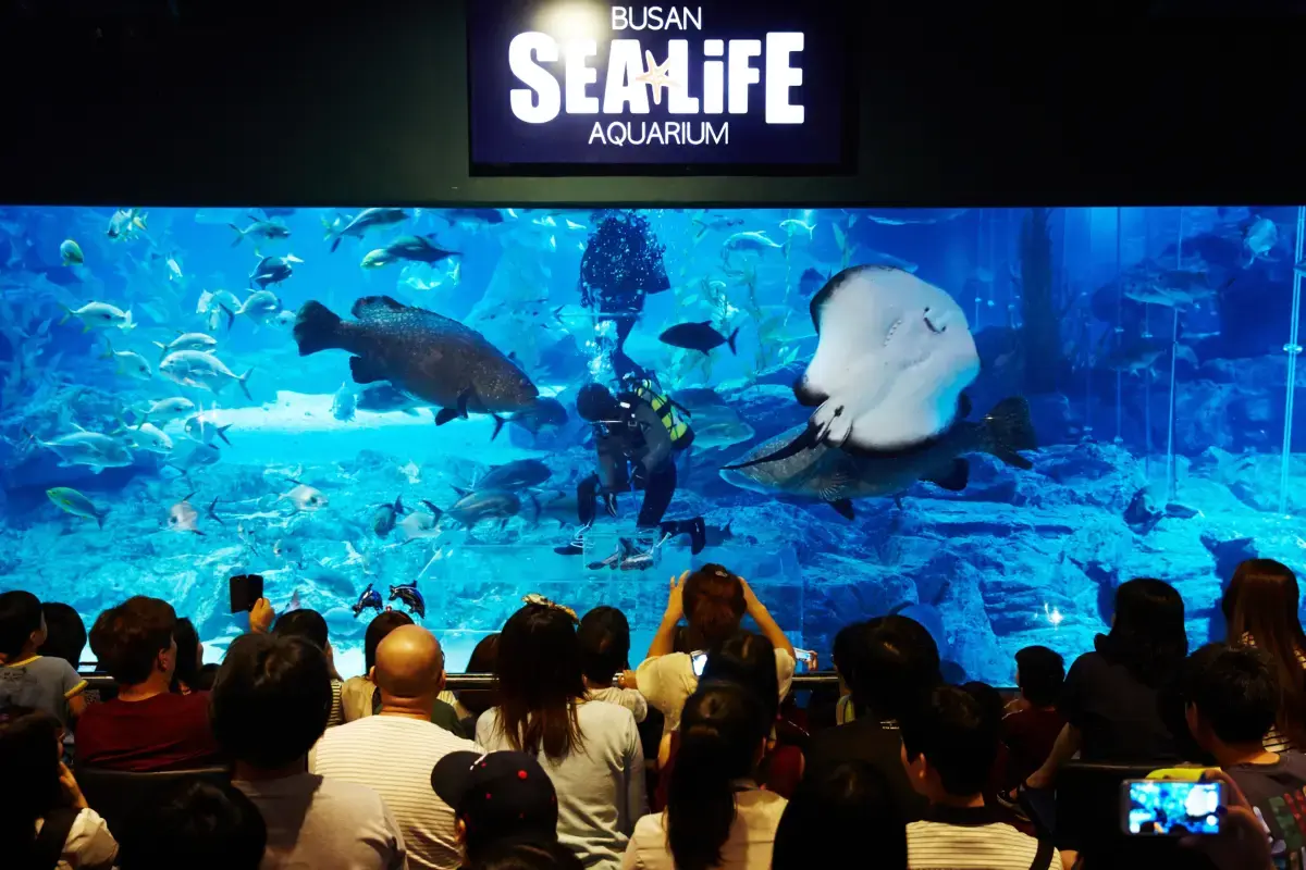 釜山 SEA LIFE 水族館