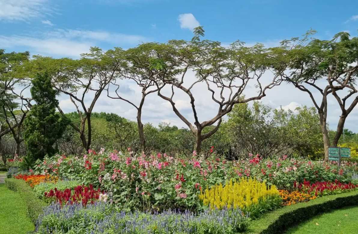 สวนสมเด็จพระนางเจ้าสิริกิติ์ฯ