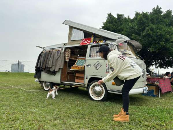 How to Travel with Pets in a Car: Road Trip Tips for Dogs and Cats