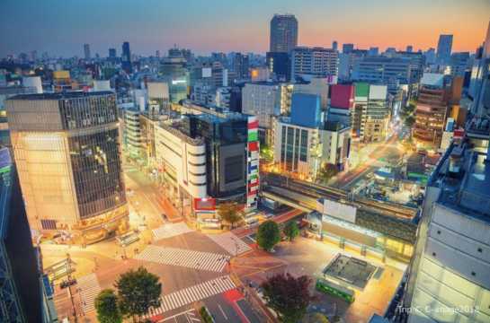 도쿄여행 4박5일 코스