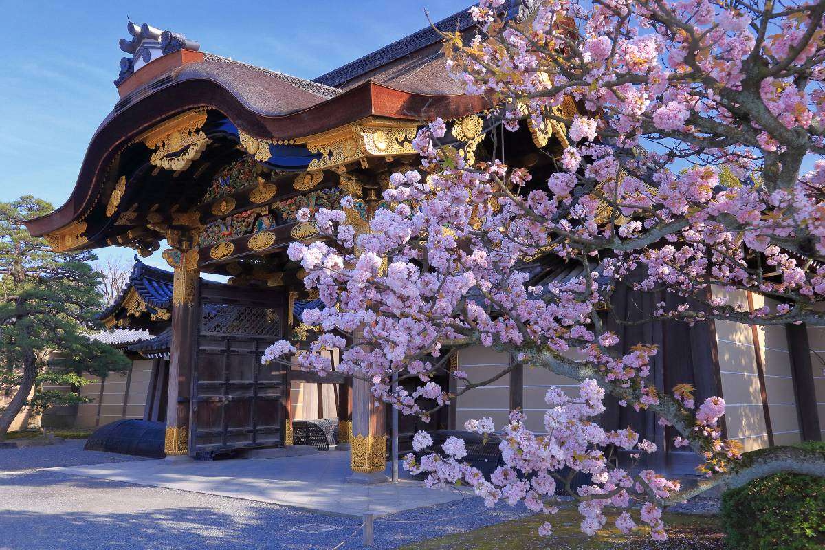 교토 지하철 관광지 