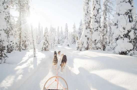 오로라 인기 투어