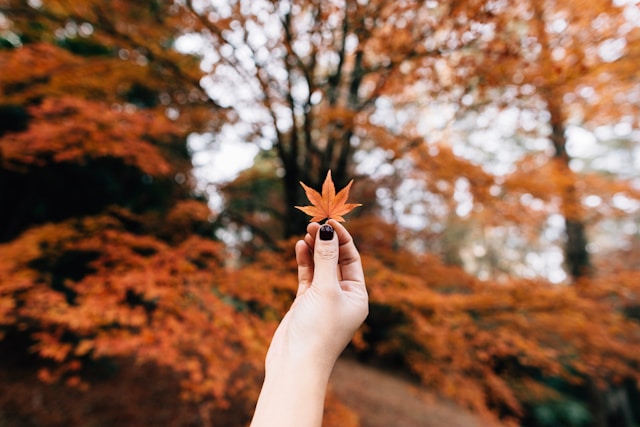 설악산 국립공원