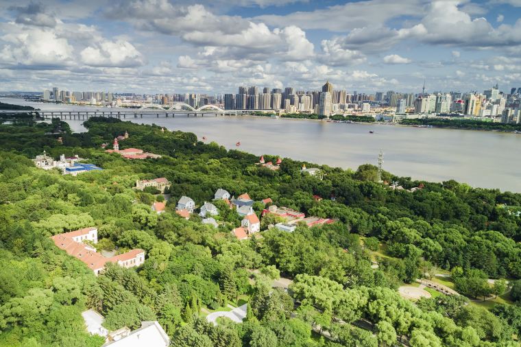 ฤดูร้อนในฮาร์บิน