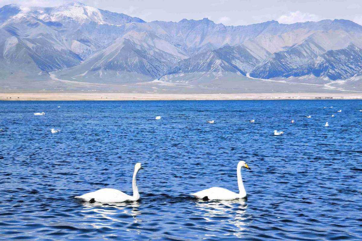 ทะเลสาบไซลี่มู่