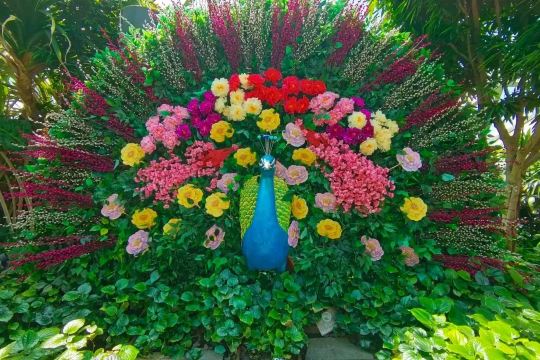Decorative peacock sculpture surrounded by colorful flowers and greenery