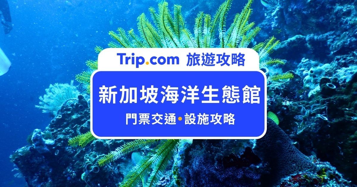 【新加坡海洋生態館門票】新加坡親子旅遊必去，門票、必看亮點一次看完！ | Trip.com