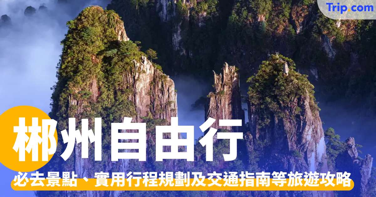 郴州自由行2026：走進森林仙景！即睇必去景點及行程攻略 | Trip.com