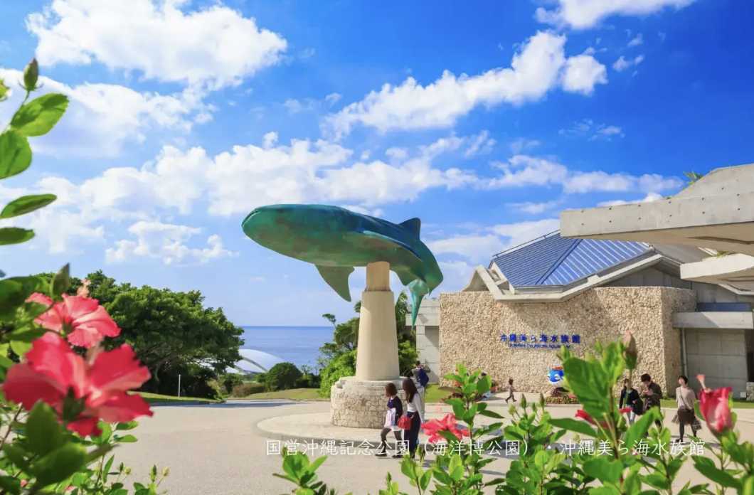 츄라우미 수족관 공연