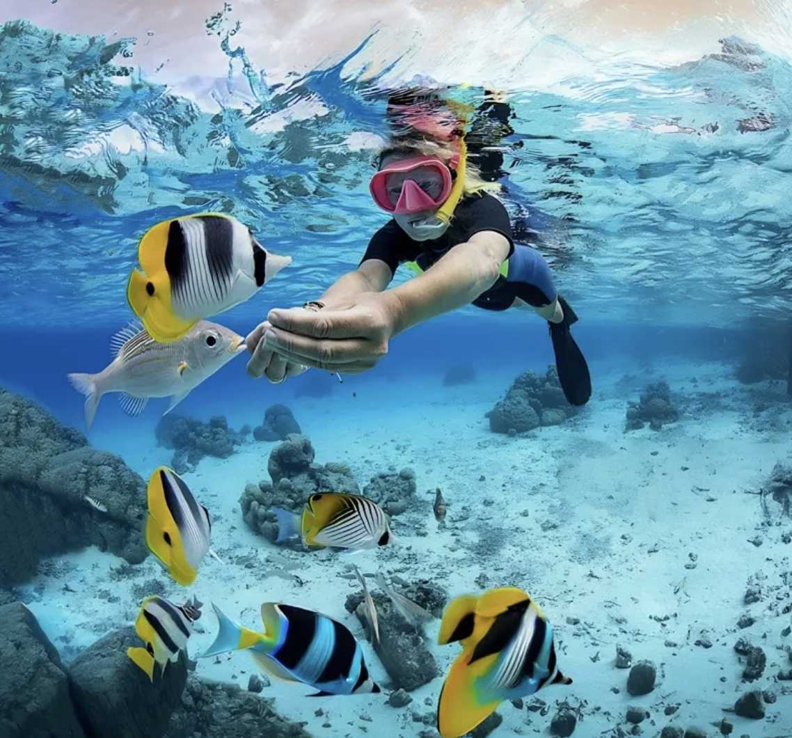 다낭 여행시기 건기