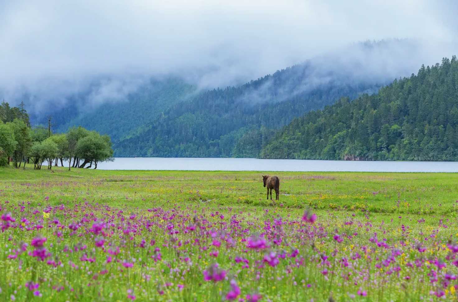 อากาศยูนนาน