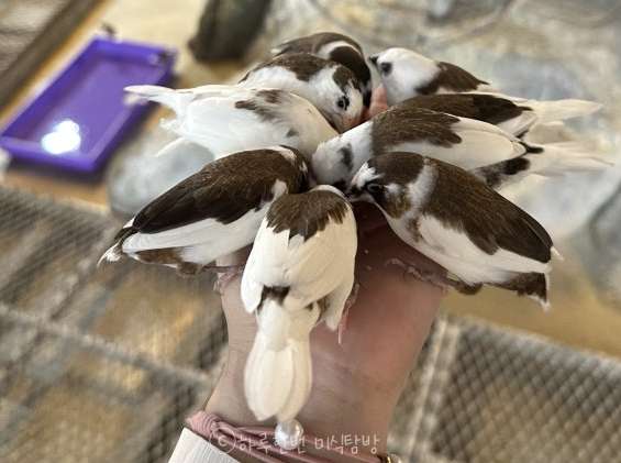 오산버드파크 특징