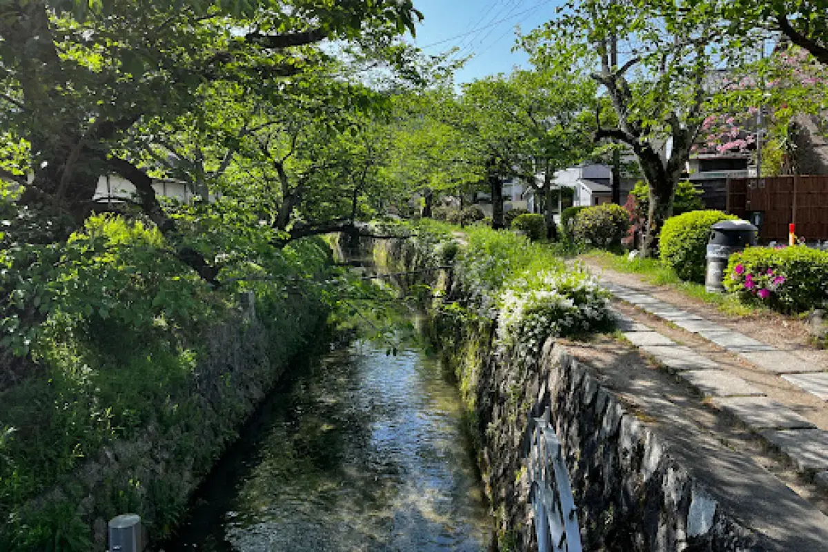 Philosopher’s Path in Spring