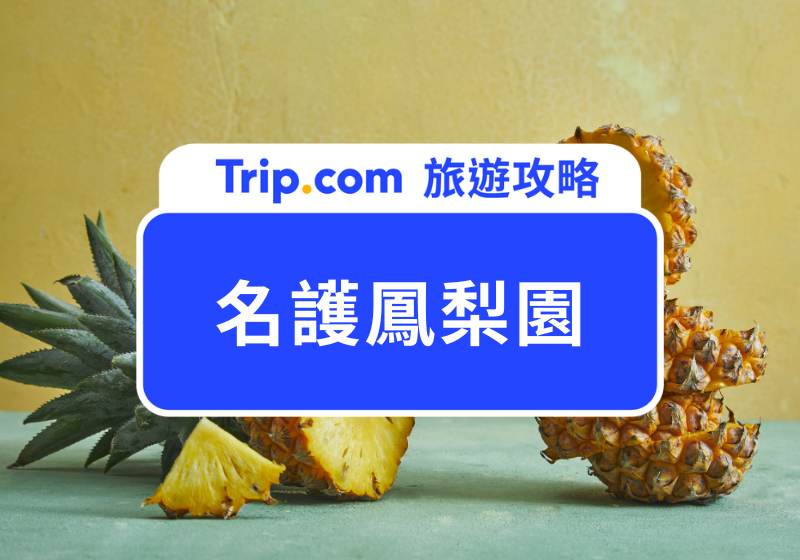 名護鳳梨園