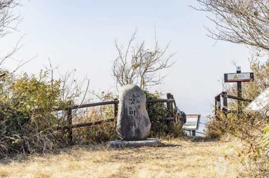 목포 벚꽃 축제