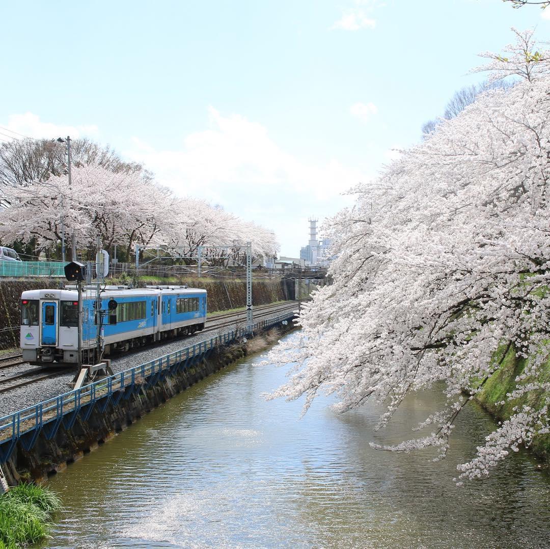 霞城公園