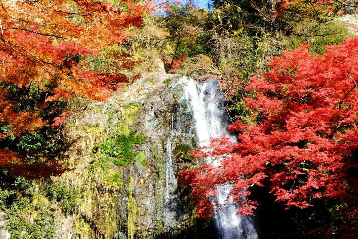 箕面公園