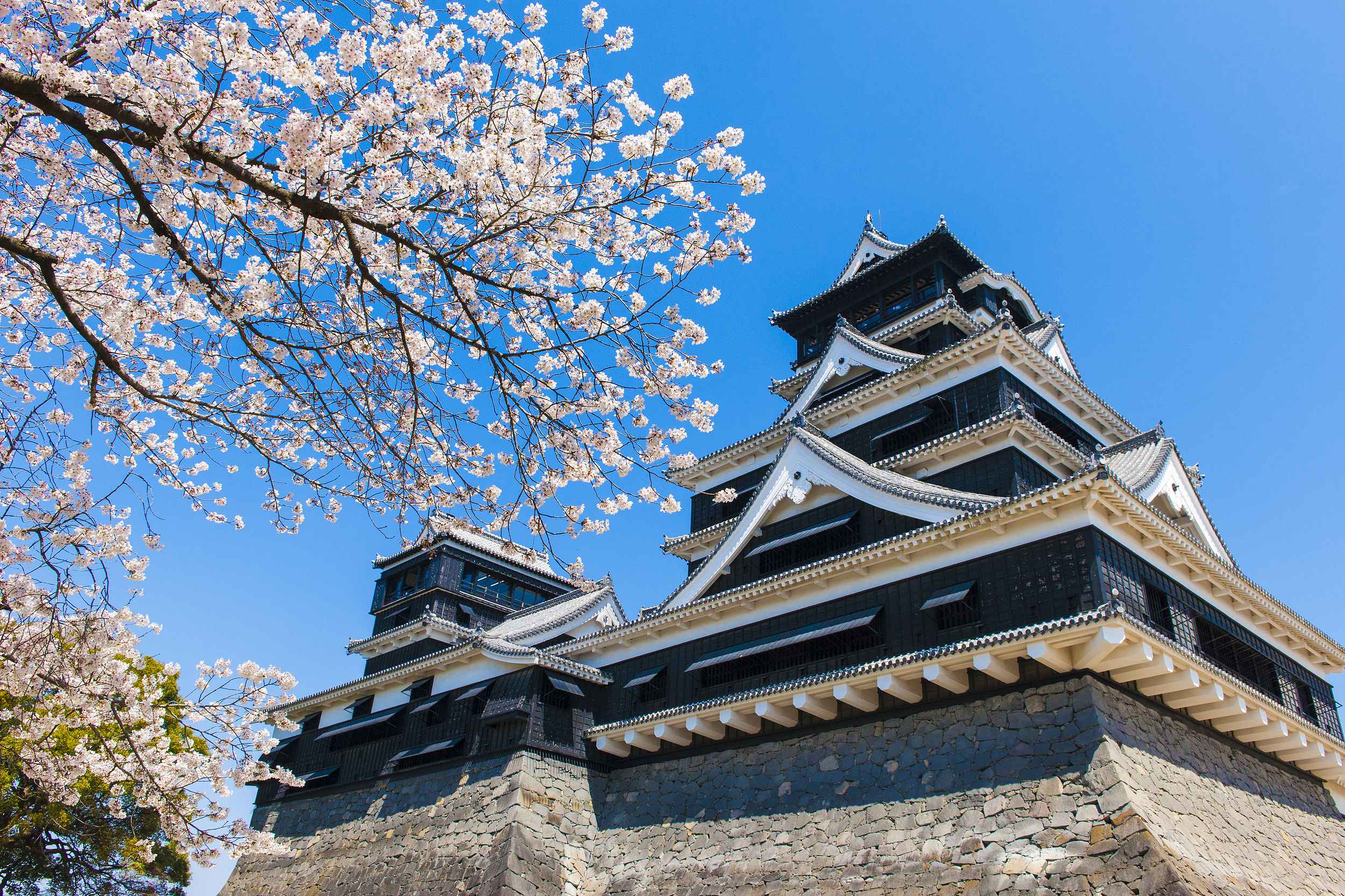 熊本城