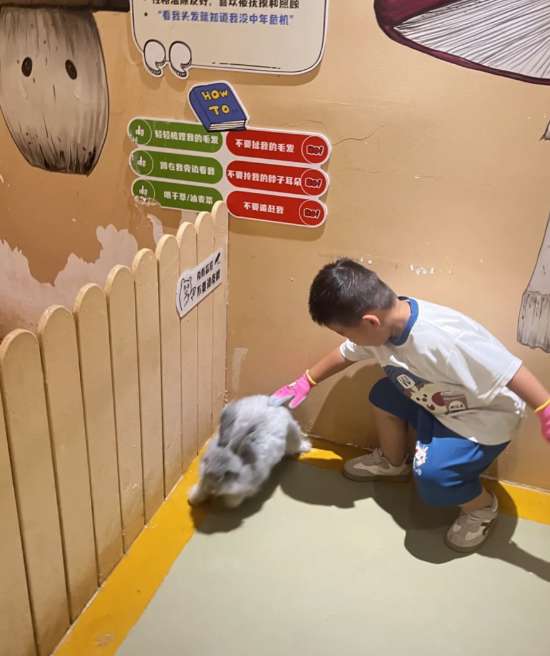 阿多羅堡萌寵工場