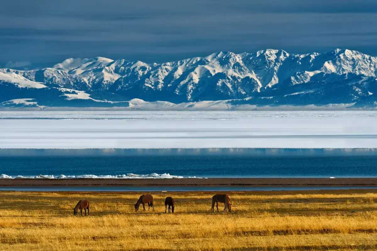 เที่ยวจีนหน้าหนาว