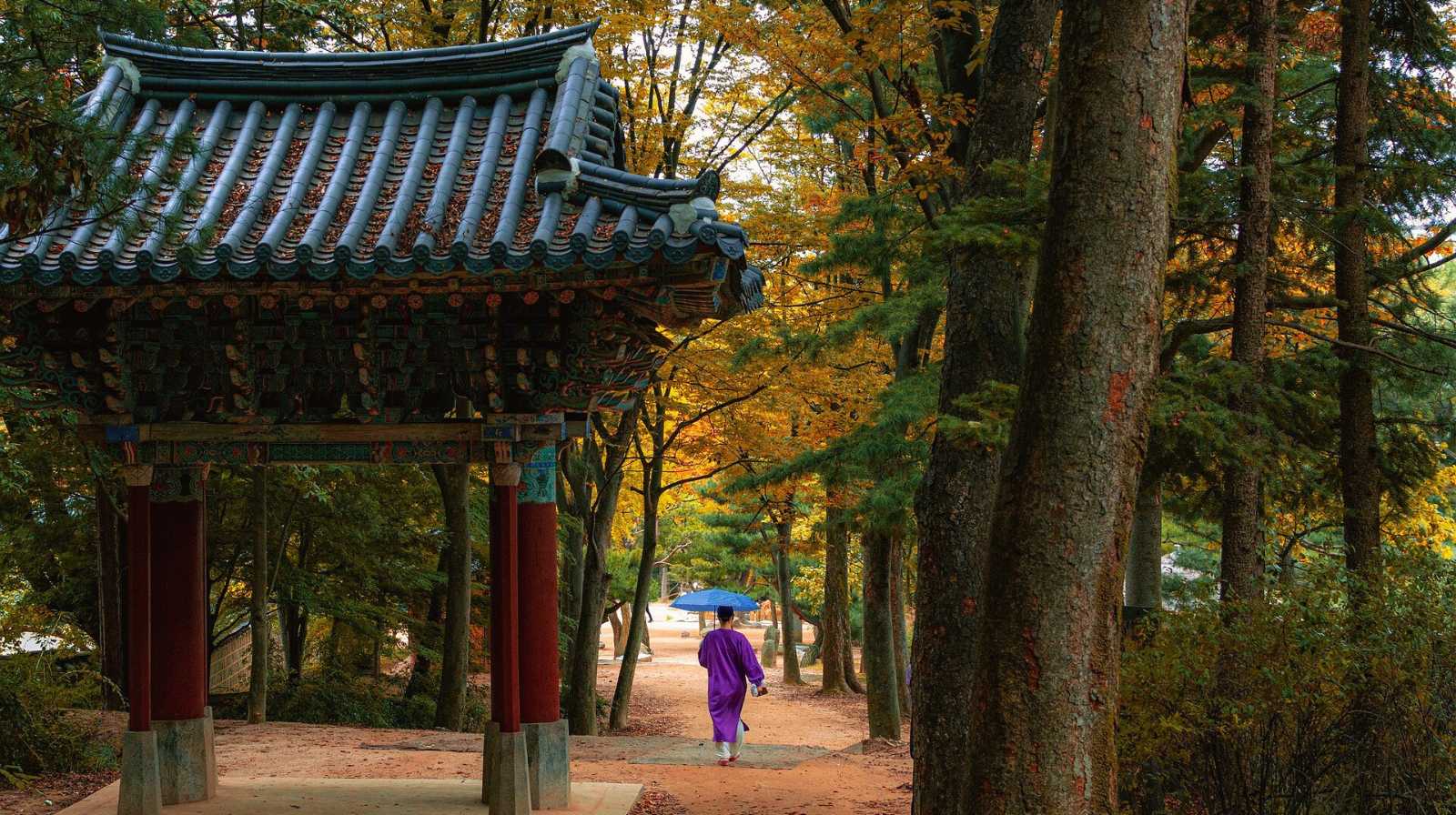 Entrada tradicional coreana en un bosque con colores de otoño, donde una persona con hanbok camina bajo los árboles