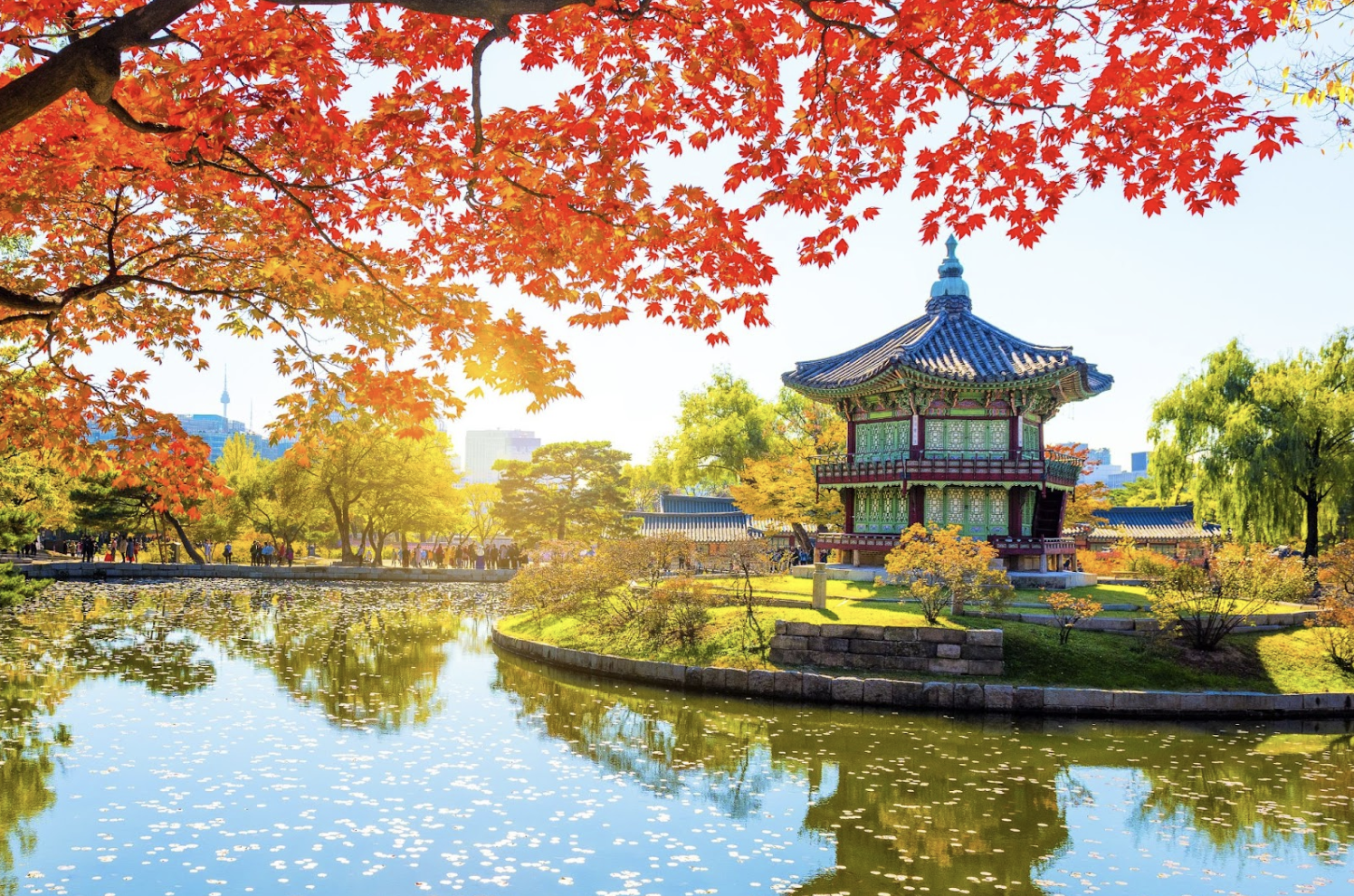 韓國天氣秋