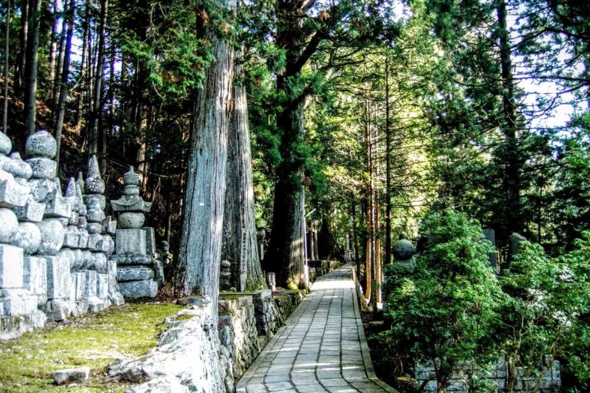 和歌山景點 #15 奧之院
