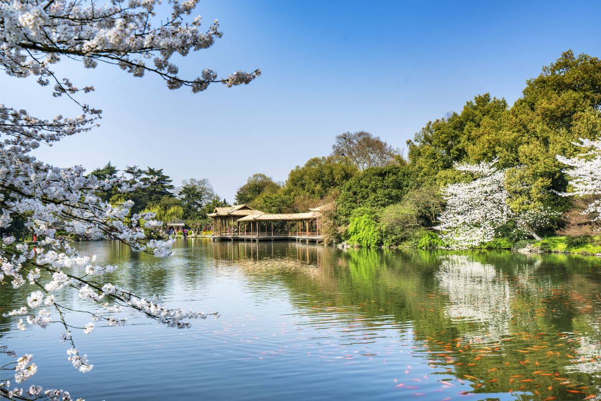 สวนสนามปลา & บ่อน้ำดอกไม้