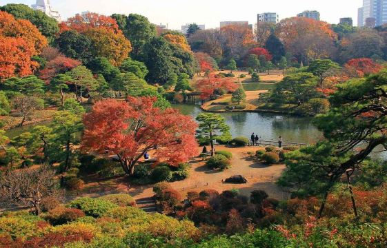 도쿄 단풍, 리쿠기엔