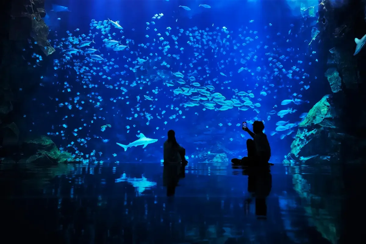 Xpark 水族館