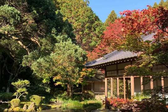 雷山千如寺大悲王院